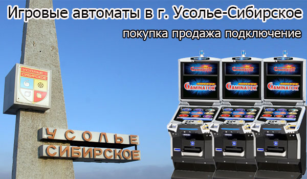 Покупка и продажа игровых автоматов в Усолье-Сибирском